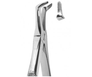 Extracting Forceps English pattern